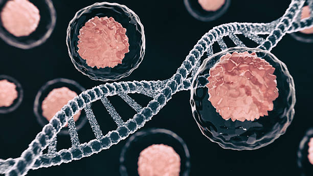 Cell Organelles structures functions nucleus Showing seo tital