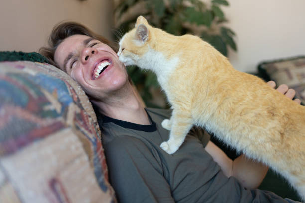 Cats Meowing at Men, FelineCommunication, CatBehavior, CuriousCats,